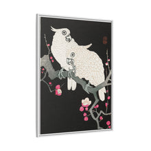 Two cockatoo and plum blossom (1925 - 1936) by Ohara Koson