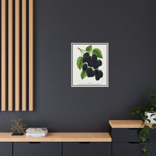 Snyder Blackberry lithograph from Botanical Specimen published by Rochester Lithographing