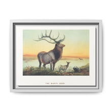The Wapiti from Zoological sketches (1861-1867) by Joseph Wolf and Philip Lutley Sclater - NOMADEN ART GALLERY