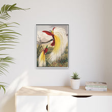 Birds of Paradise: Vintage Natural History Art by Benjamin Fawcett (1808 - 1893)