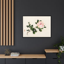 Pink rose by Kōno Bairei (1844-1895)