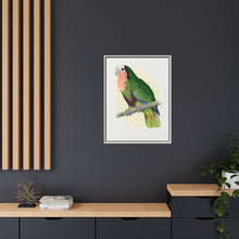 Red-Throated White-Fronted Amazon (Amazona leucocephala) colored wood-engraved plate by Alexander Francis Lydon.