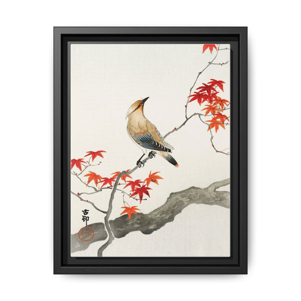 Japanese plague bird on maple (1900 - 1936) by Ohara Koson