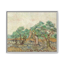 The Olive Orchard (1889) by Vincent van Gogh. Original from The National Gallery of Art. - NOMADEN ART GALLERY