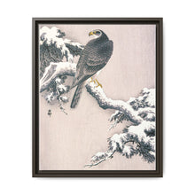 Goshawk on Snow-covered Pine Bough by Ohara Koson (1877–1945) - NOMADEN ART GALLERY