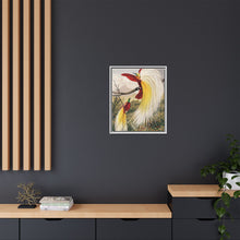 Birds of Paradise: Vintage Natural History Art by Benjamin Fawcett (1808 - 1893)
