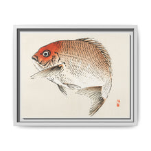 Tai (Red Seabream) fish by Kōno Bairei - NOMADEN ART GALLERY