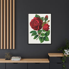 Red Rose, Prince Camille De Rohan Lithograph