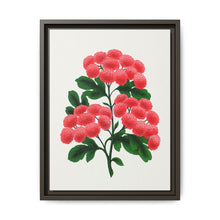 Paul's New Double Flowering Thorn lithograph. Digitally enhanced from our own original 1900 edition plates of Botanical Specimen published by Rochester Lithographing - NOMADEN ART GALLERY