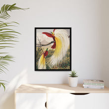 Birds of Paradise: Vintage Natural History Art by Benjamin Fawcett (1808 - 1893)