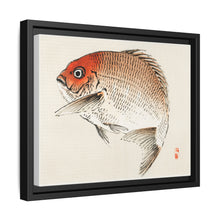 Tai (Red Seabream) fish by Kōno Bairei