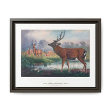 The Mantchurian Deer from Zoological sketches (1861-1867) by Joseph Wolf and Philip Lutley Sclater