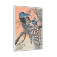 Two peacocks on tree branch (1900 - 1930) by Ohara Koson
