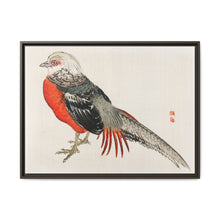 Japanese pheasant by Kōno Bairei (1844-1895) - NOMADEN ART GALLERY
