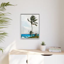 Palm Tree, Nassau (1898) by Winslow Homer