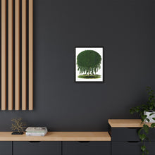 Kilmarnock Weeping Willow tree lithograph. Digitally enhanced from our own original 1900 edition plates of Botanical Specimen published by Rochester Lithographing