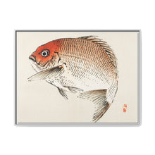 Tai (Red Seabream) fish by Kōno Bairei - NOMADEN ART GALLERY
