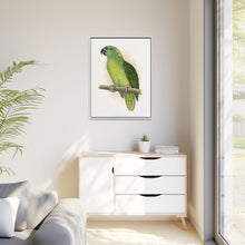 Lydon's Yellow-Naped Amazon | Vintage Parrot Wall Art Print