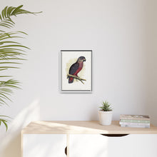 Dusky or Violet Parrot (Pionus fuscus) colored wood-engraved plate by Alexander Francis Lydon.