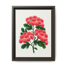 Paul's New Double Flowering Thorn lithograph. Digitally enhanced from our own original 1900 edition plates of Botanical Specimen published by Rochester Lithographing - NOMADEN ART GALLERY