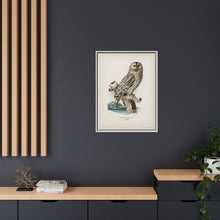Strix uralensis ♀ illustrated by the von Wright brothers from our own 1929 folio version of Svenska Fåglar Efter Naturen Och Pa Sten Ritade - NOMADEN ART GALLERY