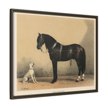 Orloffer (Orloff Horse) by Emil Volkers (1880) - An illustration of a black horse and a white dog - NOMADEN ART GALLERY