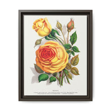lithograph from Botanical Specimen published by Rochester Lithographing - NOMADEN ART GALLERY