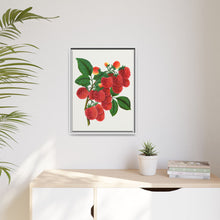 Shaffer's Colossal Raspberry Lithograph (1900)