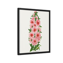 Prunus Triloba flower lithograph. Digitally enhanced from our own original 1900 edition plates of Botanical Specimen published by Rochester Lithographing