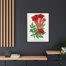 Trumpet flower lithograph. Digitally enhanced from our own original 1900 edition plates of Botanical Specimen published by Rochester Lithographing