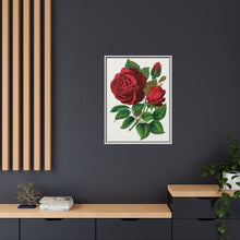 Red Rose, Prince Camille De Rohan Lithograph