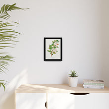 Spirea Aurea flowers lithograph. Digitally enhanced from our own original 1900 edition plates of Botanical Specimen published by Rochester Lithographing - NOMADEN ART GALLERY