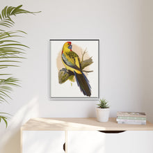 Lydon's Yellow-Rumped Parrakeet | Vintage Bird Wall Art Print