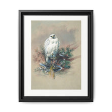 The Greenland Falcon from Zoological sketches (1861-1867) by Joseph Wolf and Philip Lutley Sclater - NOMADEN ART GALLERY