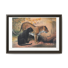 The Leopard from Zoological sketches (1861-1867) by Joseph Wolf and Philip Lutley Sclater - NOMADEN ART GALLERY