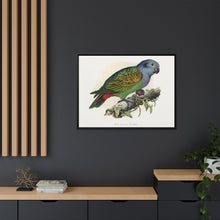 Red-Vented Parrot (Amazona martinicana) colored wood-engraved plate by Alexander Francis Lydon
