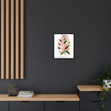 Pink flowers, Weigela lithograph (1900)