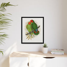 Lydon's West African Love-Bird | Vintage Avian Wall Art Print