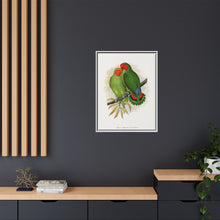 Lydon's West African Love-Bird | Vintage Avian Wall Art Print
