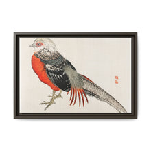 Japanese pheasant by Kōno Bairei (1844-1895) - NOMADEN ART GALLERY