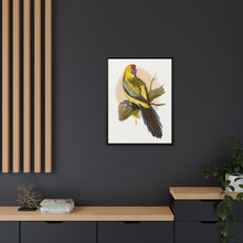 Lydon's Yellow-Rumped Parrakeet | Vintage Bird Wall Art Print