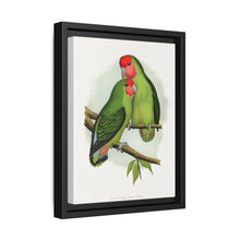 Rosy-Faced Love-Bird (Agapornis roseicollis) colored wood-engraved plate by Alexander Francis Lydon. - NOMADEN ART GALLERY