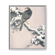Goshawk on Snow-covered Pine Bough by Ohara Koson (1877–1945) - NOMADEN ART GALLERY