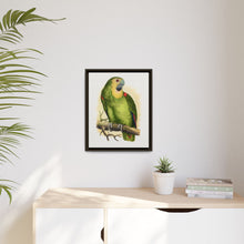 Blue-Fronted Amazon (Amazona aestiva) colored wood-engraved plate by Alexander Francis Lydon