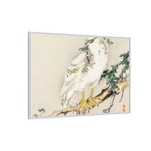 Northern mockingbird by Kōno Bairei (1844-1895)