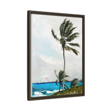 Palm Tree, Nassau (1898) by Winslow Homer