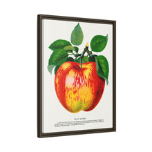 Wolf River Apple Lithograph | Vintage Botanical Wall Art Print