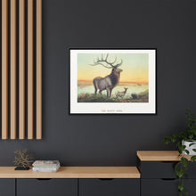 The Wapiti from Zoological sketches (1861-1867) by Joseph Wolf and Philip Lutley Sclater
