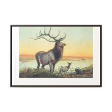 The Wapiti from Zoological sketches (1861-1867) by Joseph Wolf and Philip Lutley Sclater - NOMADEN ART GALLERY