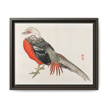 Japanese pheasant by Kōno Bairei (1844-1895) - NOMADEN ART GALLERY